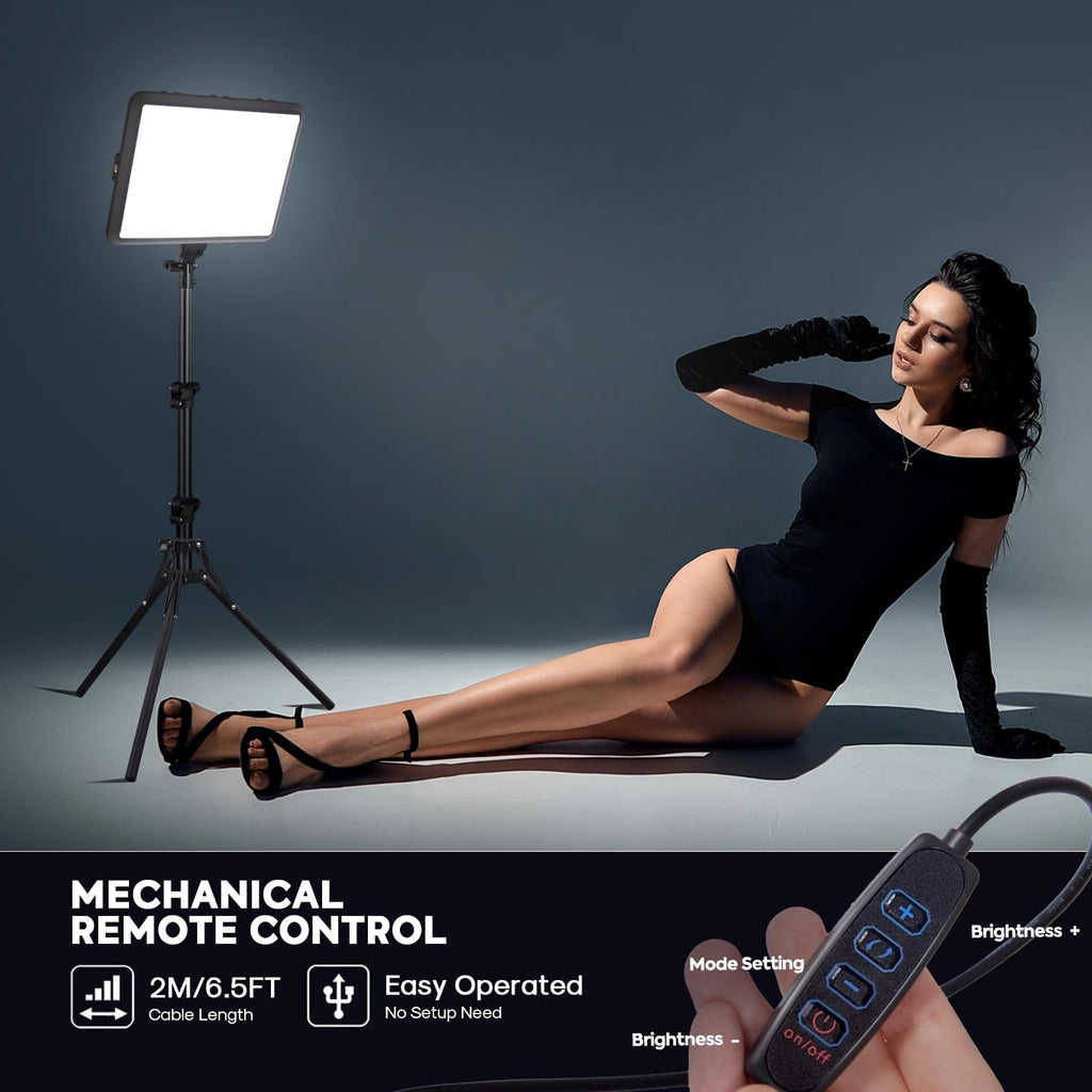 NiceVeedi 2-Pack LED Video Light Kit