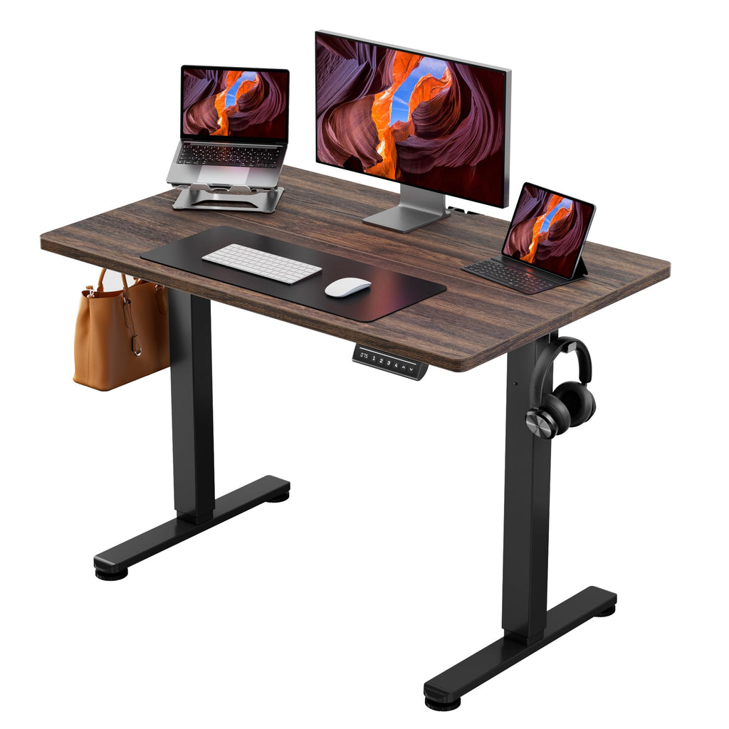 ErGear Electric Standing Desk