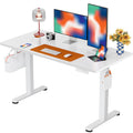 ErGear Electric Standing Desk