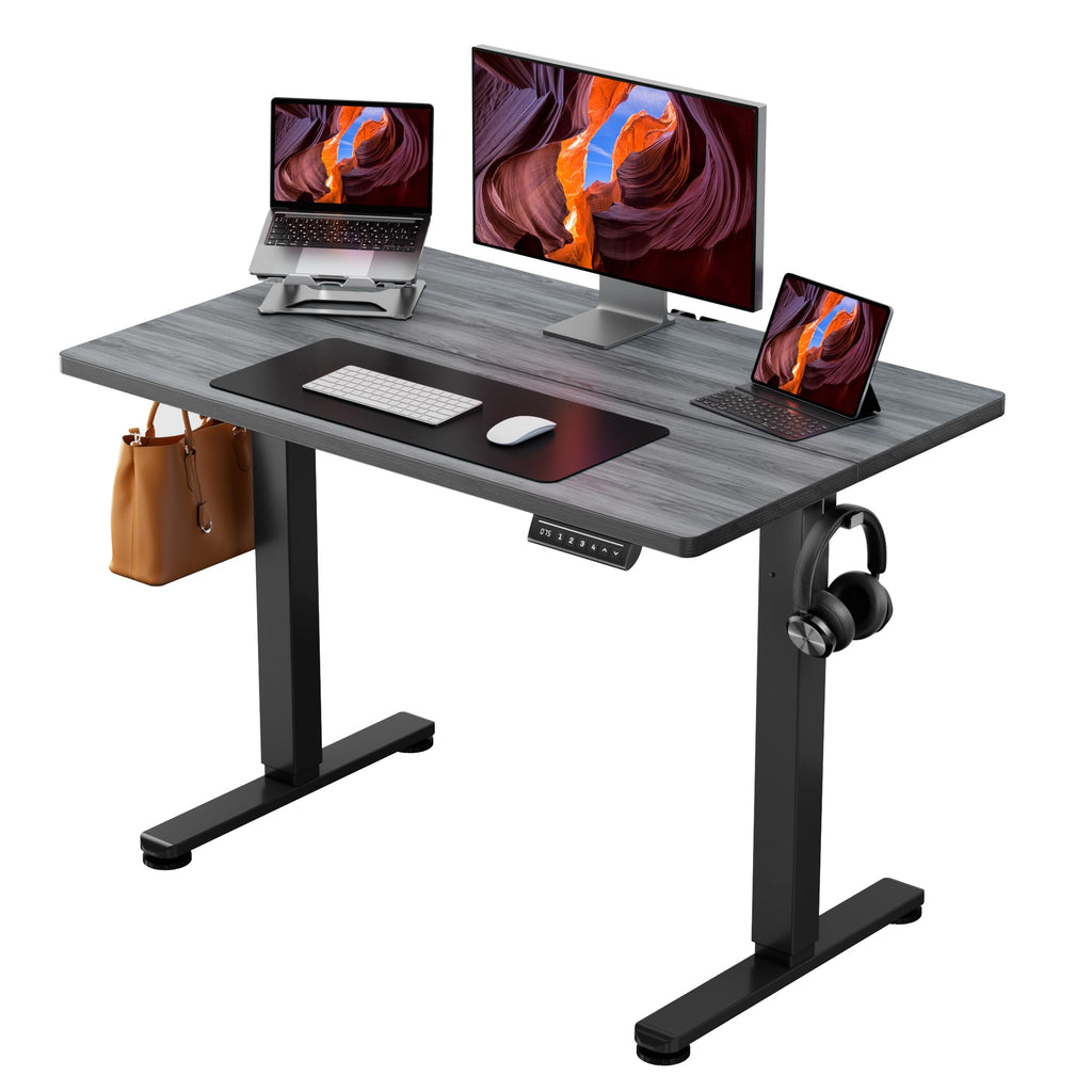 ErGear Electric Standing Desk