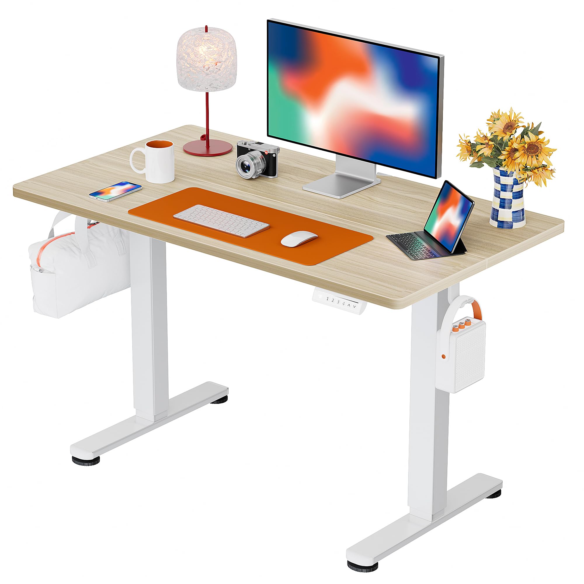 ErGear Electric Standing Desk