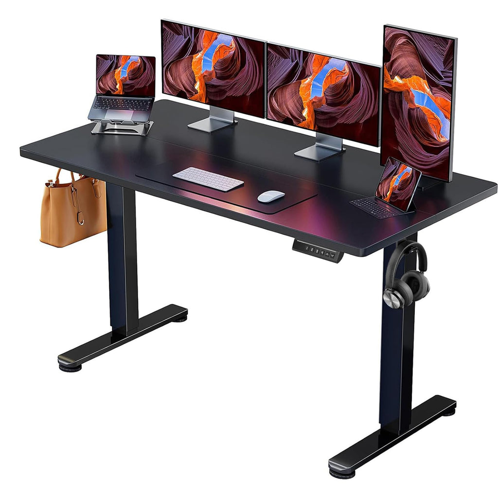 ErGear Electric Standing Desk