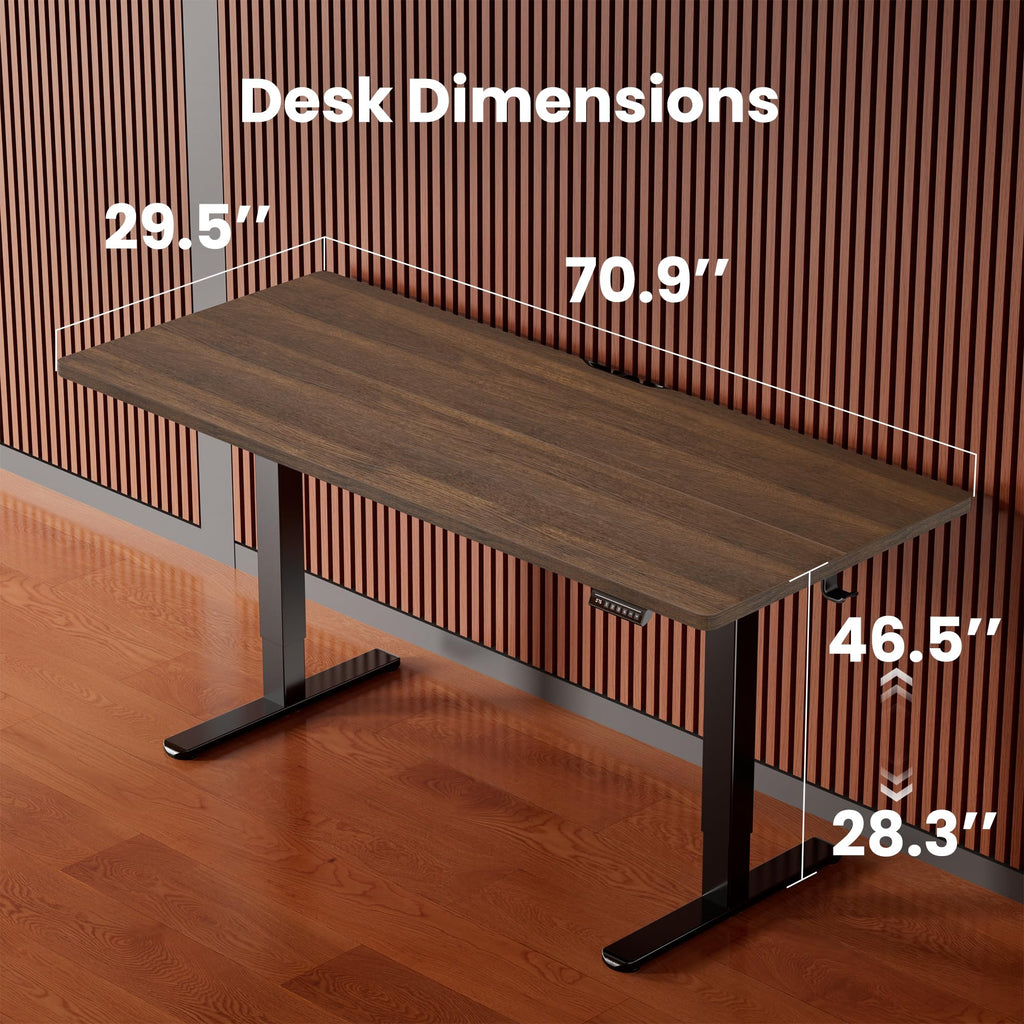 ErGear Electric Standing Desk