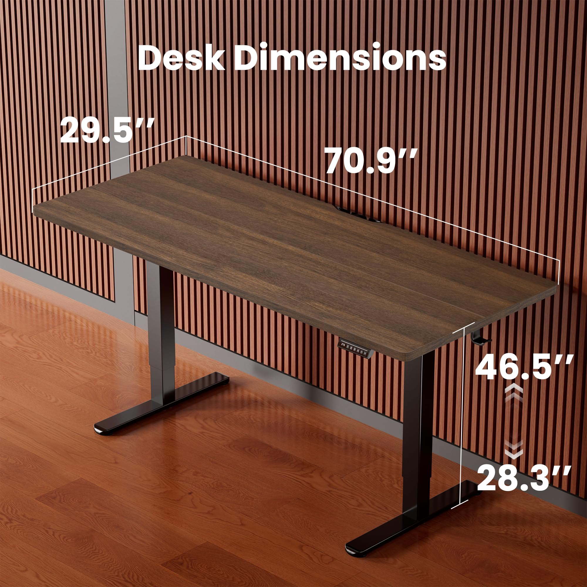 ErGear Electric Standing Desk
