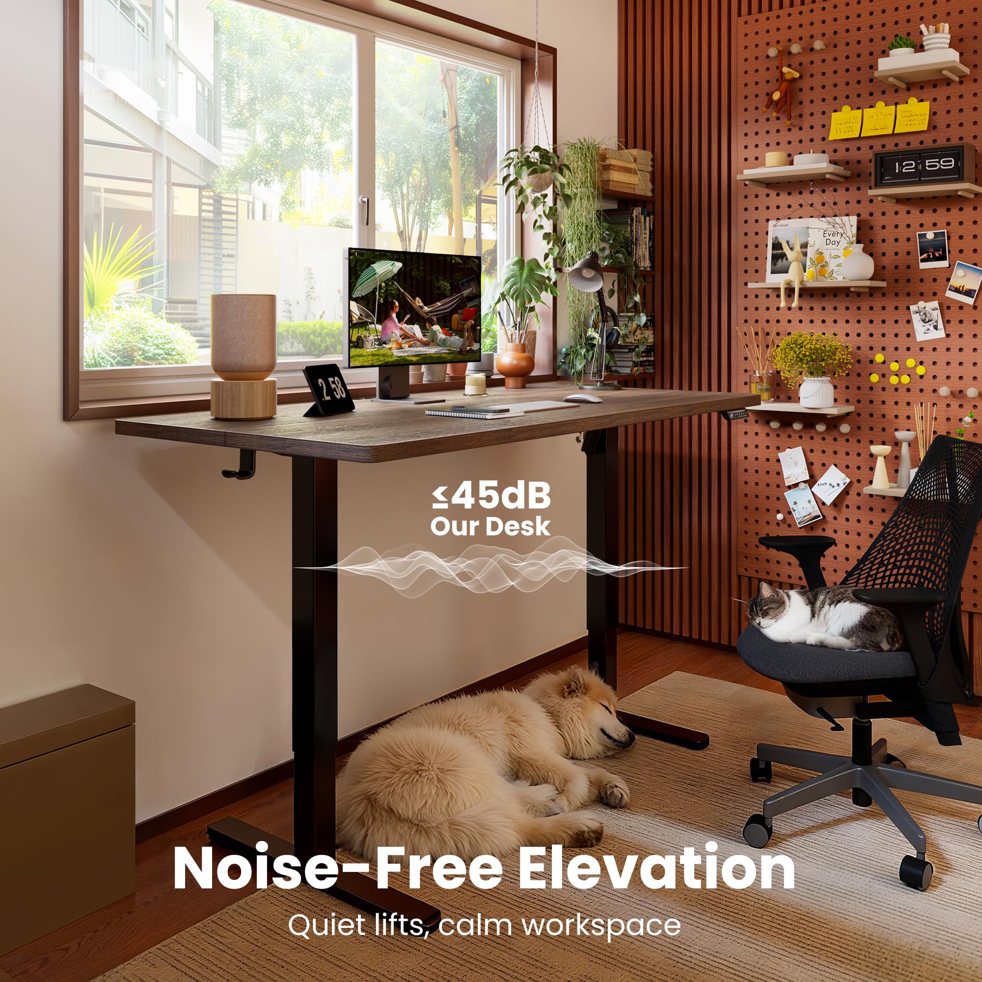 ErGear Electric Standing Desk