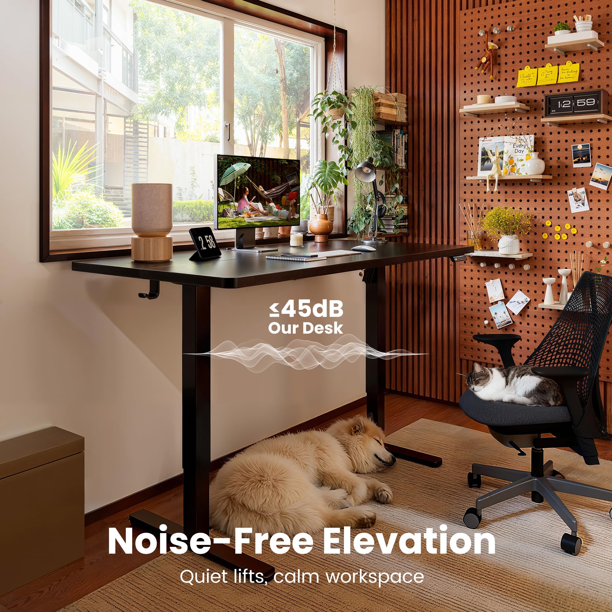 ErGear Electric Standing Desk