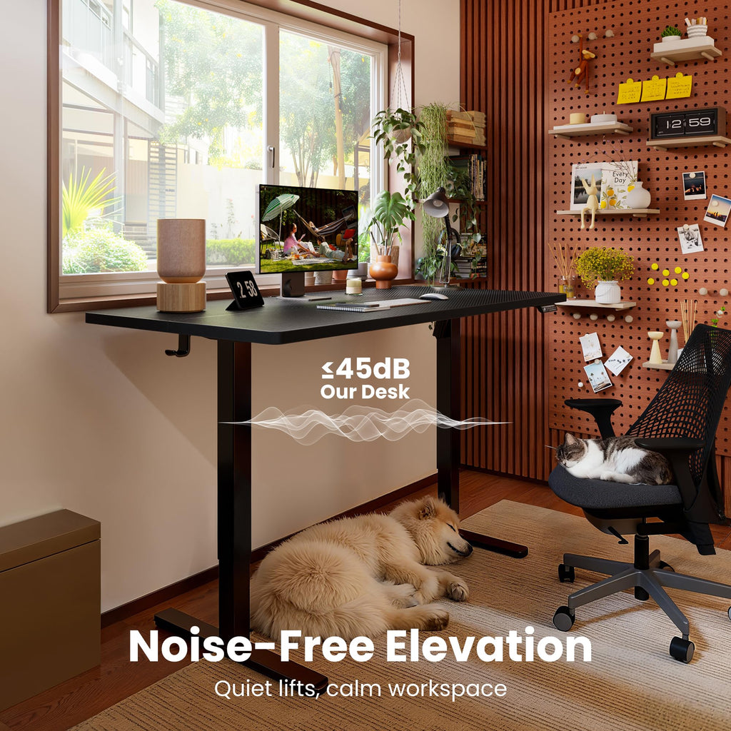 ErGear Electric Standing Desk